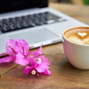 "VIP könyvelő" mentorprogram